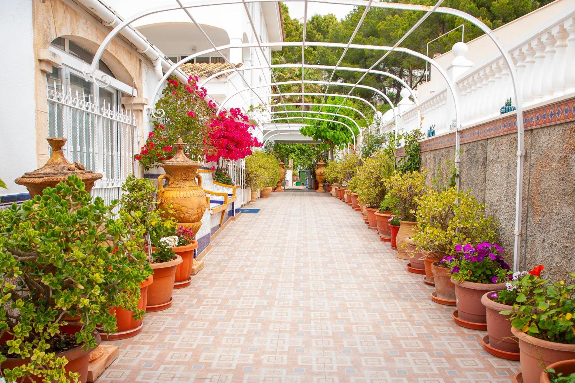 Atalaya Bosque Apartamentos パゲラ エクステリア 写真