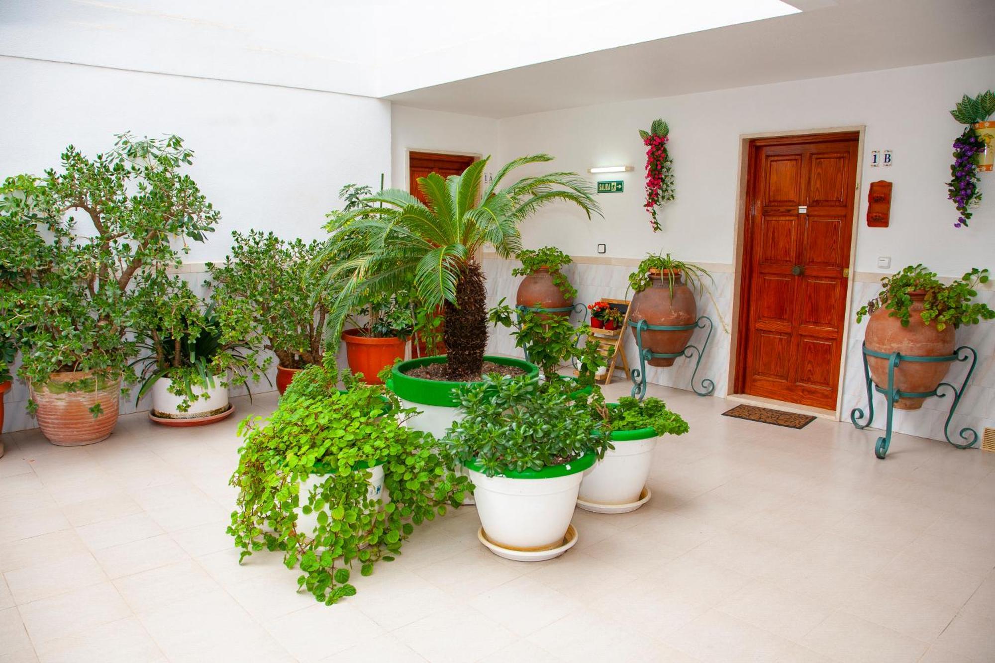 Atalaya Bosque Apartamentos パゲラ エクステリア 写真